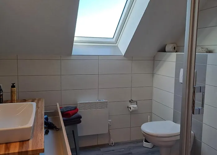 Kari هاسلفيلد